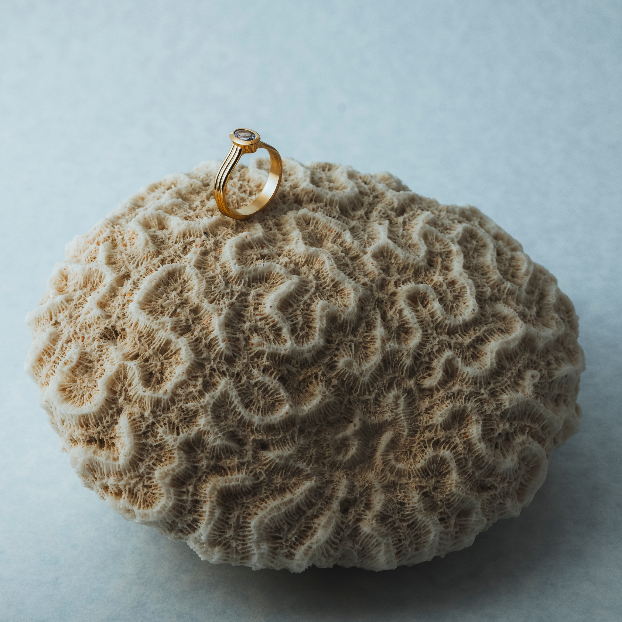 Anillo Ovalina