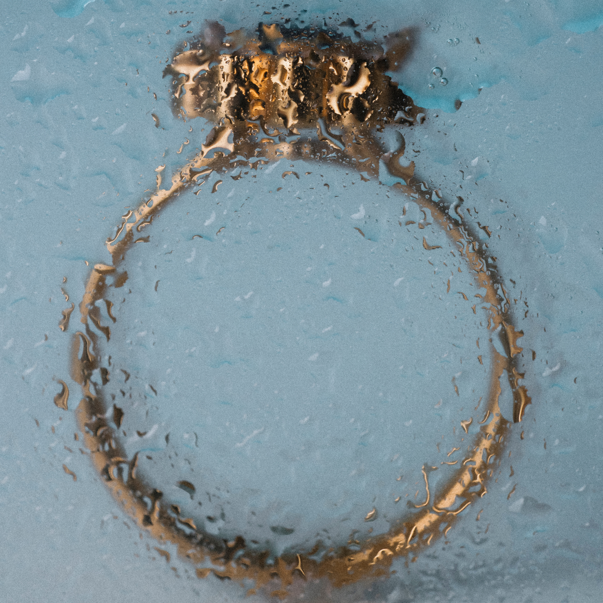 Anillo Flora