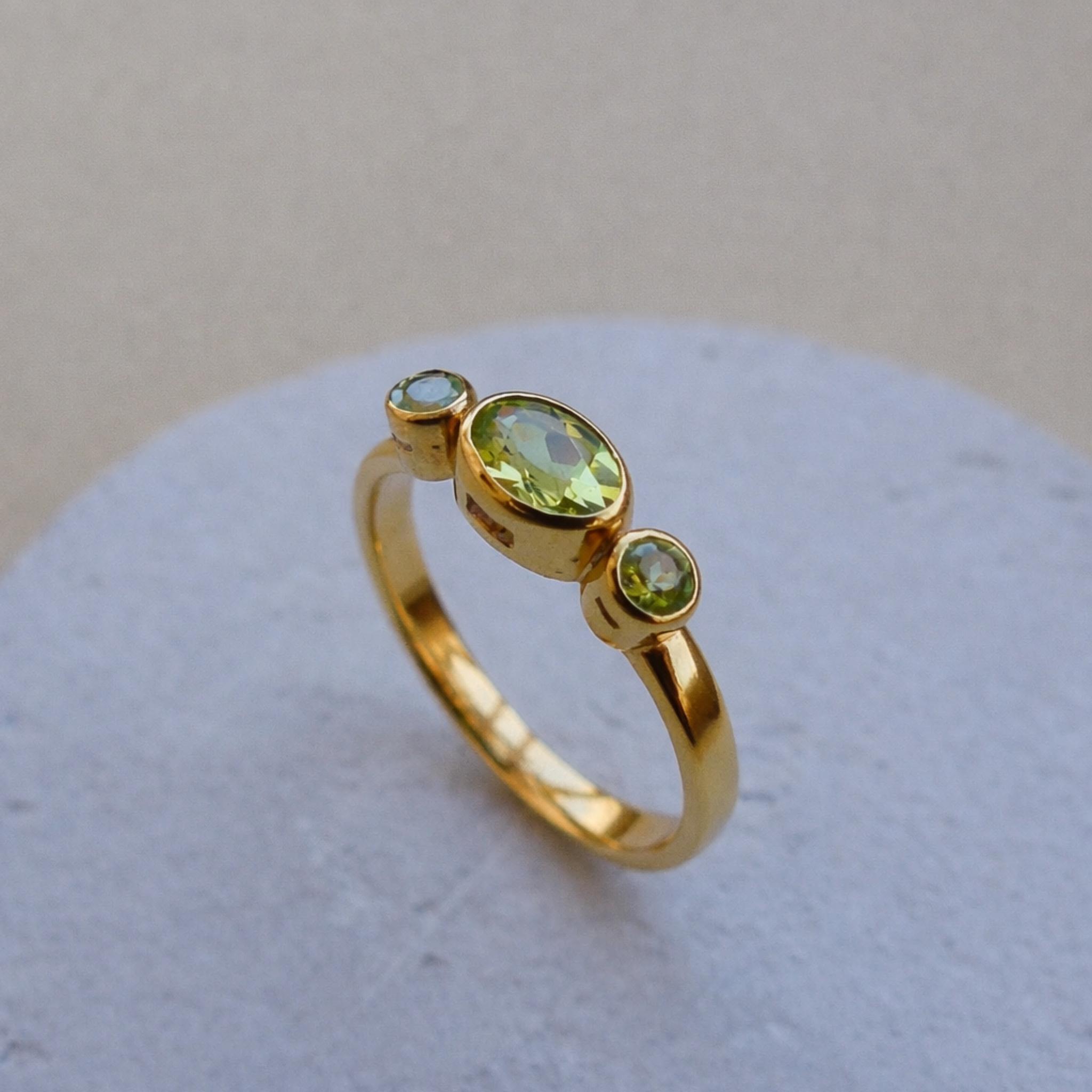 Anillo Posidonia
