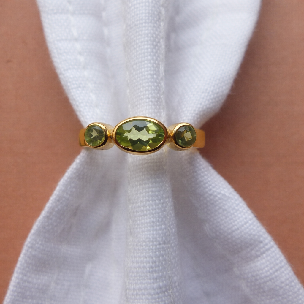 Anillo Posidonia