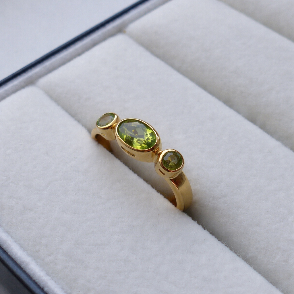 Anillo Posidonia
