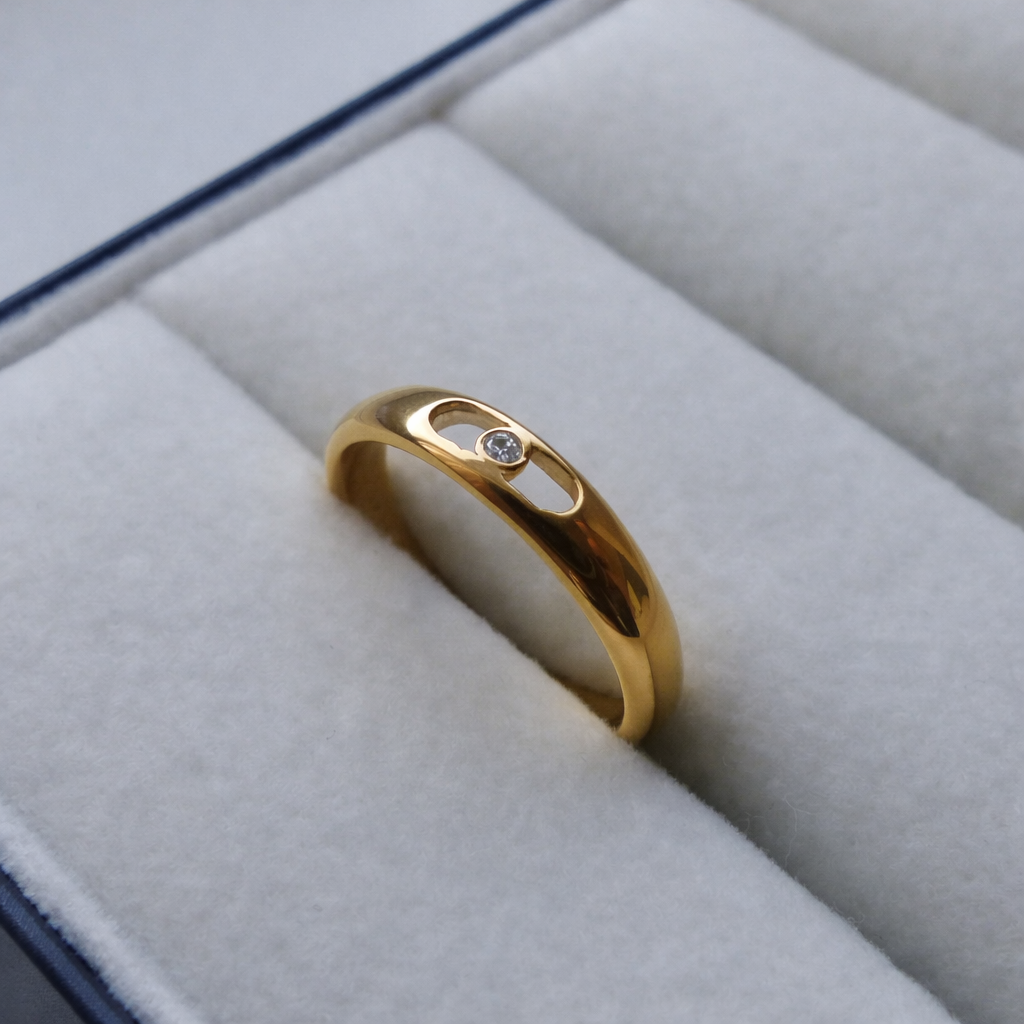 Anillo Flotante