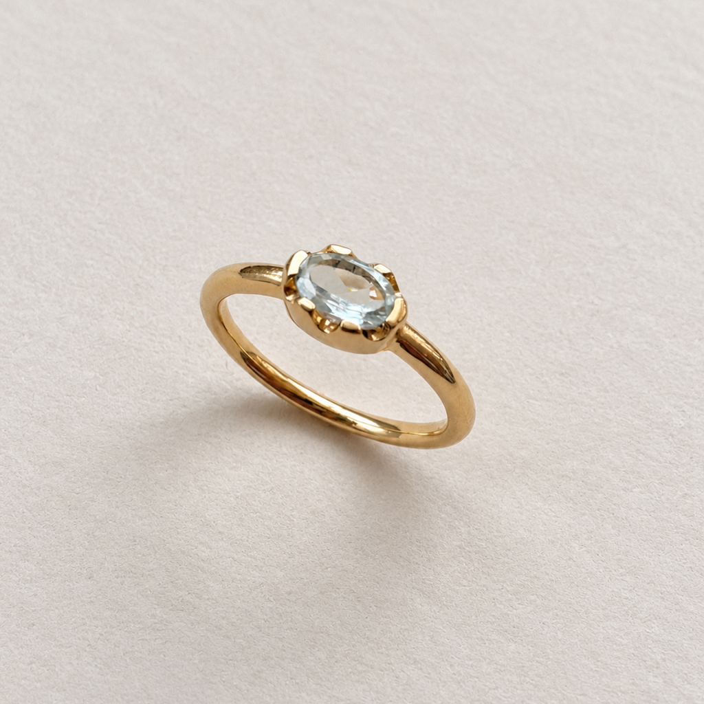 Anillo Orilla