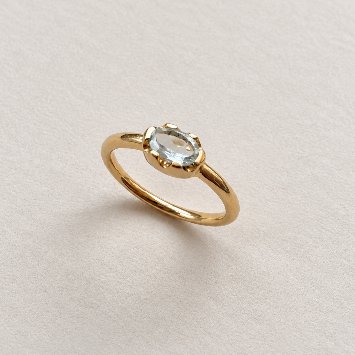 Anillo Orilla