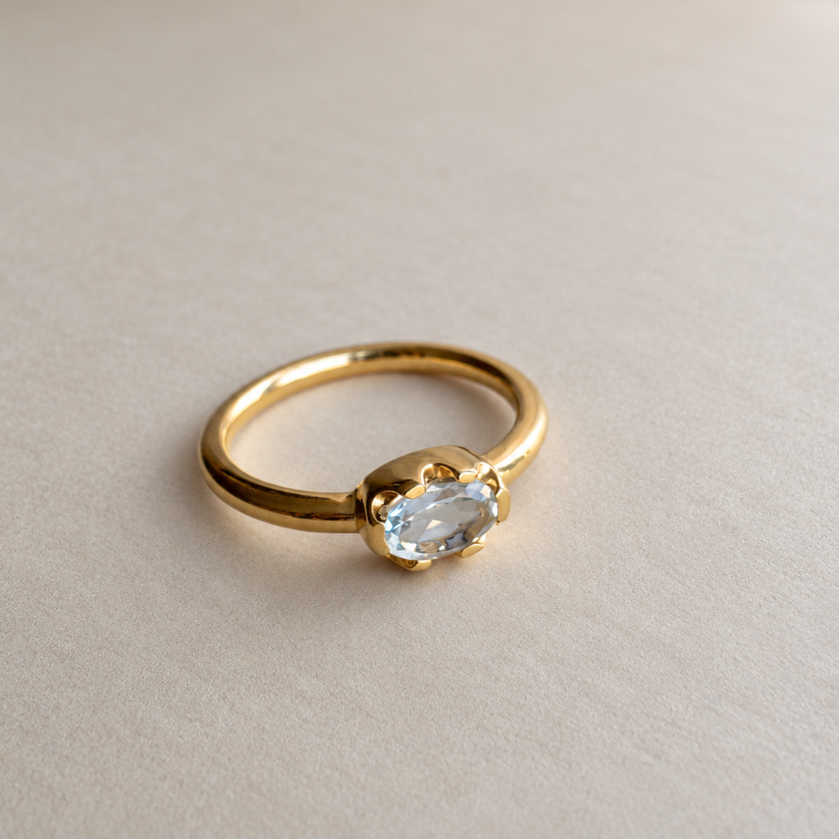 Anillo Orilla