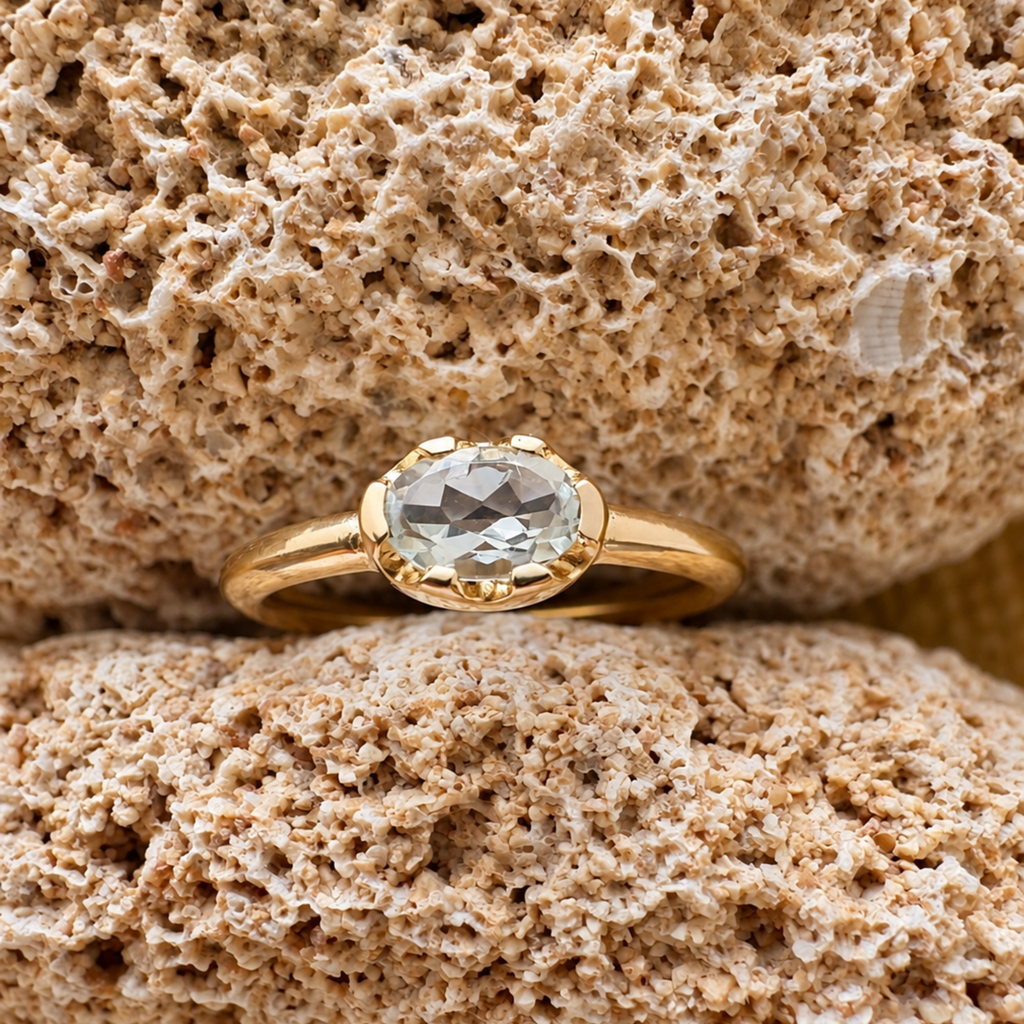Anillo Orilla