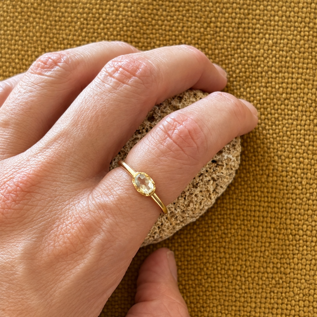 Anillo Orilla